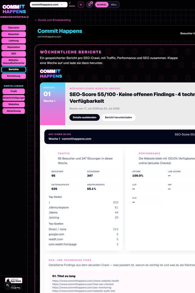 Larger Beispielbericht zur Website-Gesundheit mit Gesundheitswert und priorisierten Ergebnissen