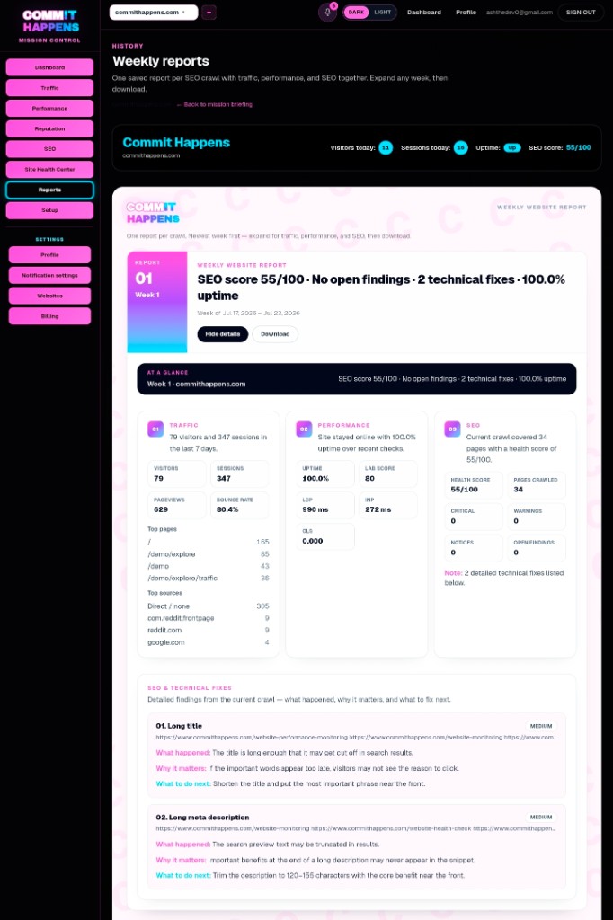 Larger Example website health report with a health score and prioritized findings