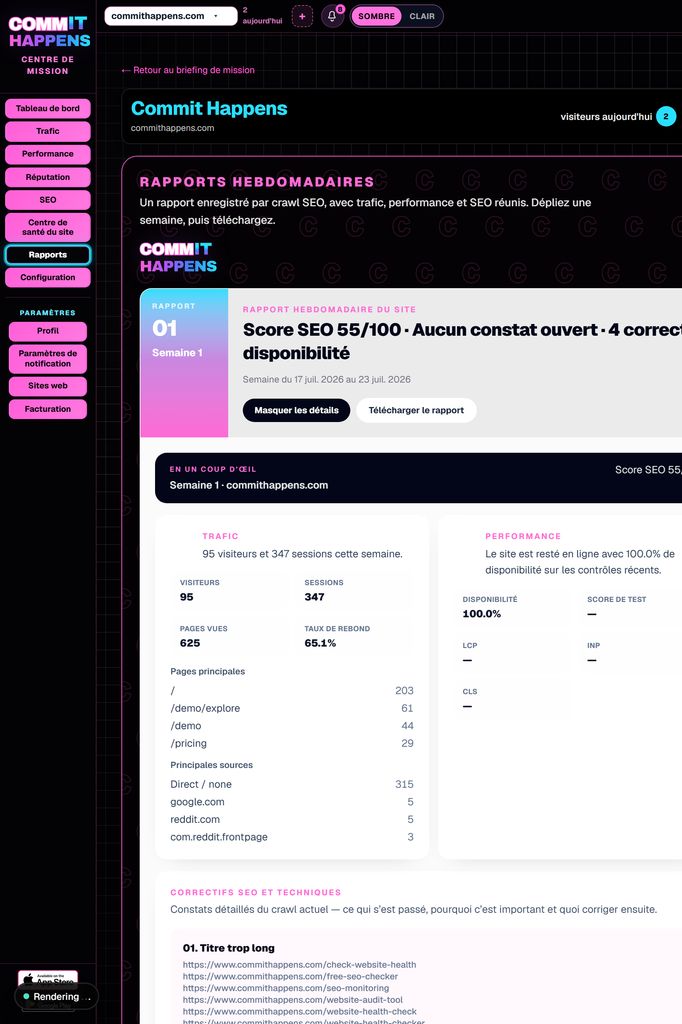 Larger Exemple de rapport de santé du site web avec un score et des constats priorisés