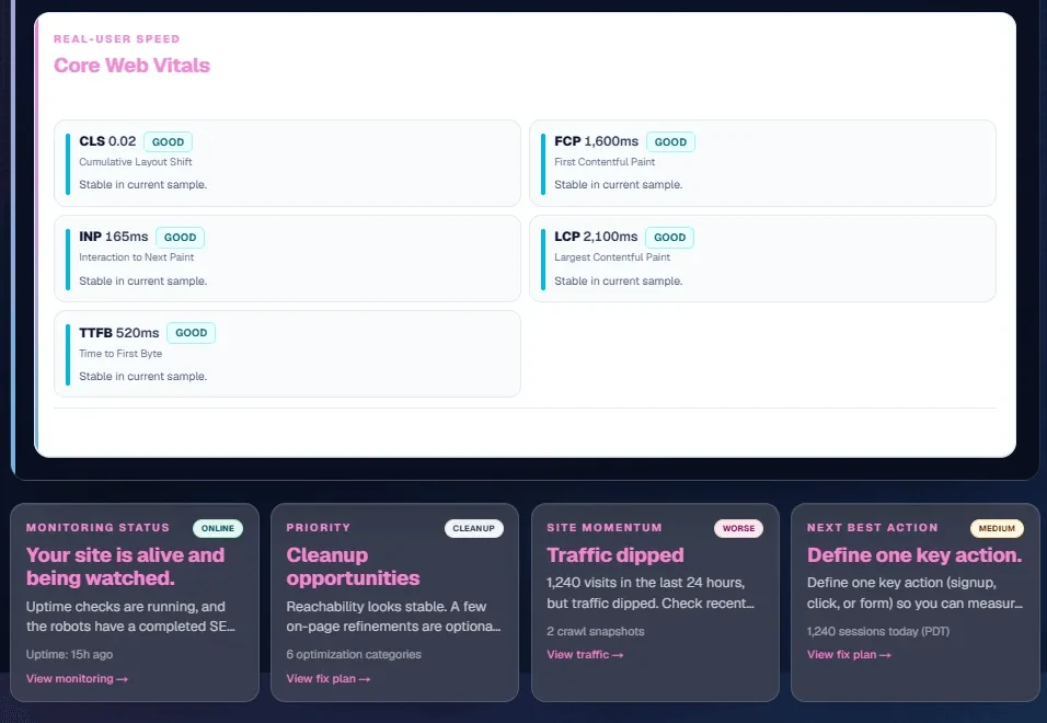 Larger Ansicht für Performance-Monitoring mit Core Web Vitals und Speed-Signalen