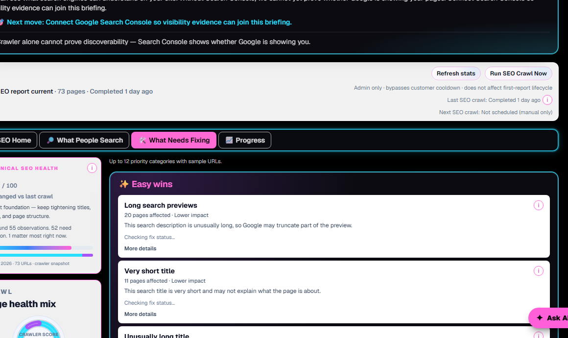 Larger Technische Probleme, die bei einem Website-Audit-Crawl gefunden wurden